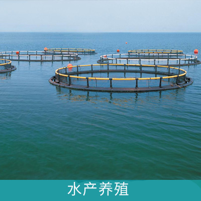 在線溶氧儀在水產(chǎn)養(yǎng)殖水質(zhì)監(jiān)測上的應(yīng)用